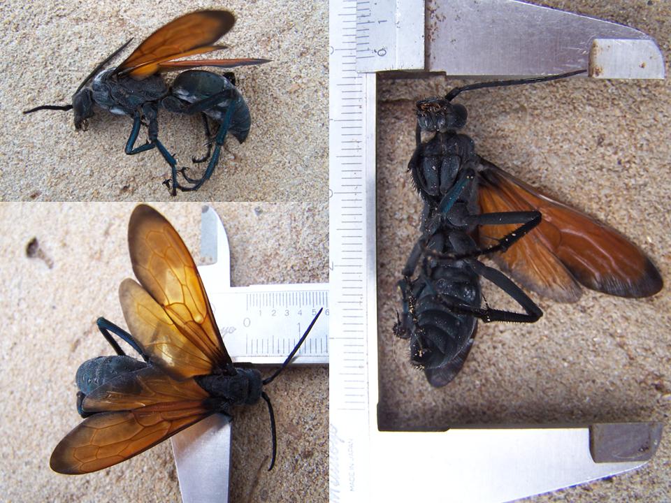 FIGURE 3 FIGURE 3